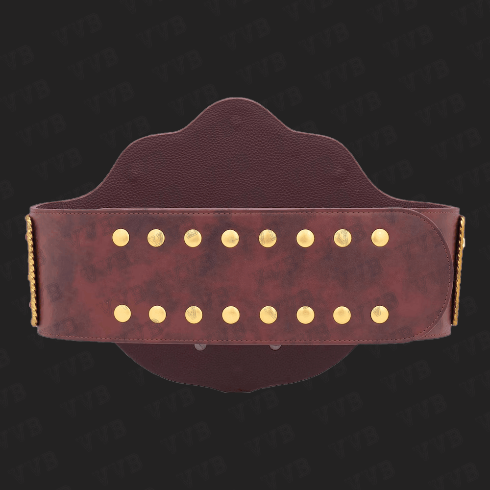 Dual Plate Big Gold Championship Wrestling Title Belt Replica