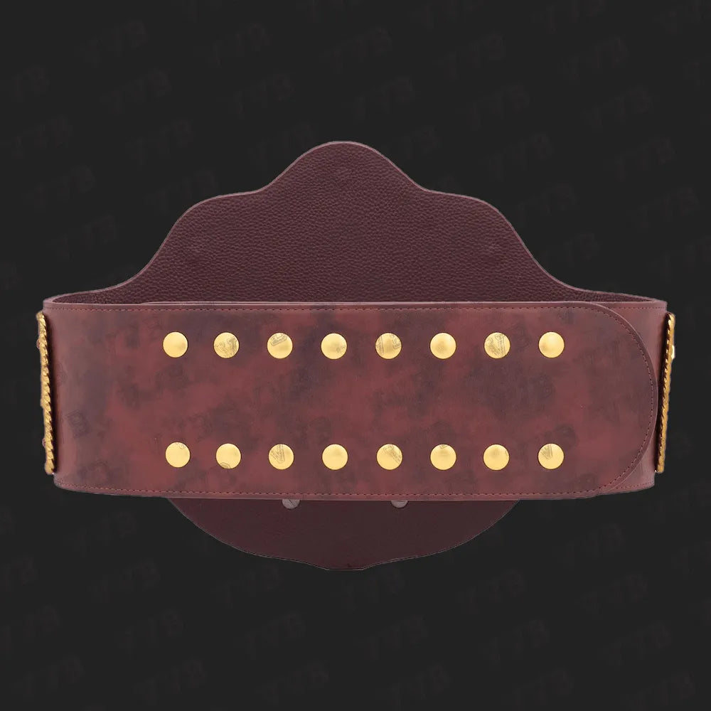 Dual Plate Big Gold Championship Wrestling Title Belt