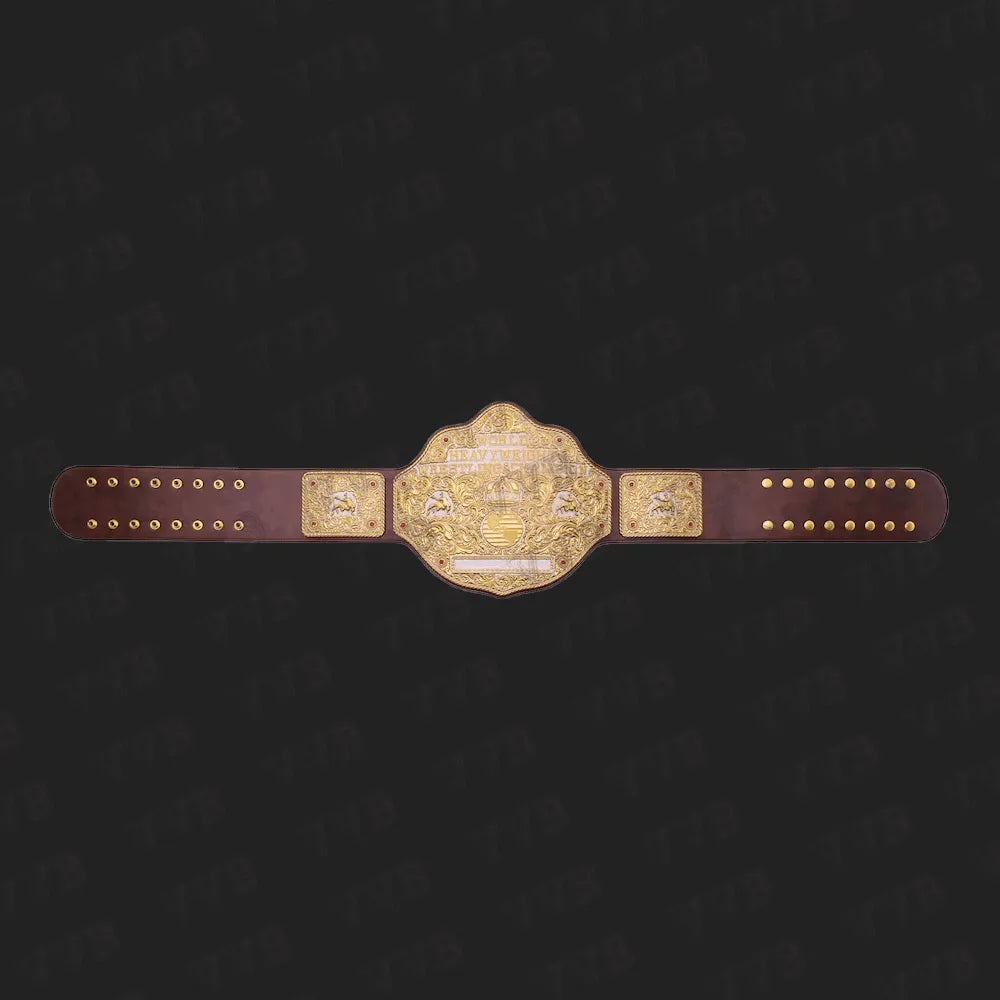 Dual Plate Big Gold Championship Wrestling Title Belt