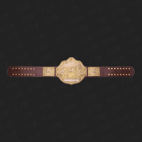 Pack of 2 - Big Gold Championship & Dual Plate Big Gold Wrestling Belts Replica
