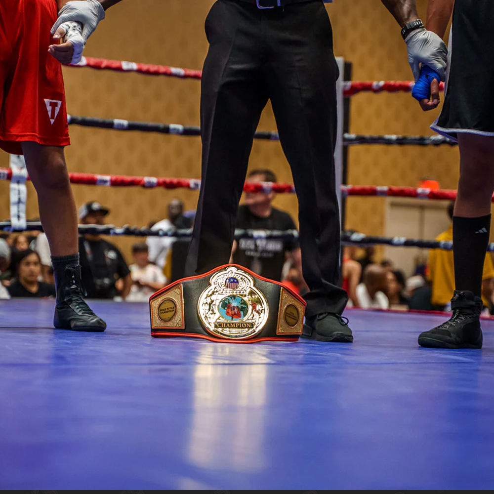 World Championship Title Belt with Gold Plates for Boxing Champions