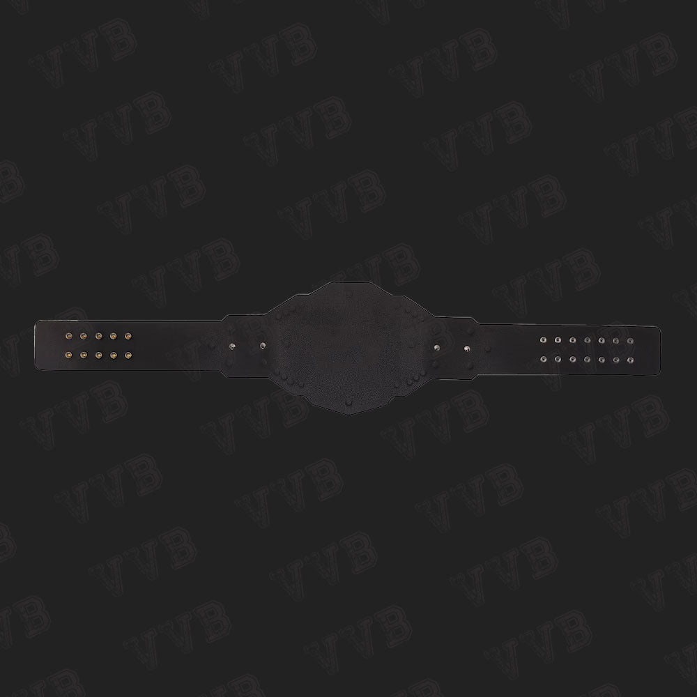 NXT 2.0 Championship Replica Title Belt