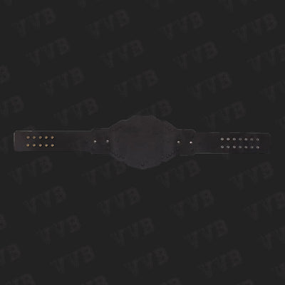 NXT 2.0 Championship Replica Title Belt