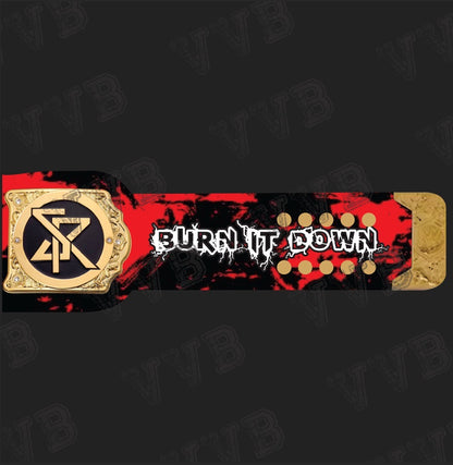 Custom Seth Rollins World Heavyweight Championship Belt Wrestling Title 6mm Diecast