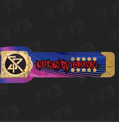 Custom Seth Rollins World Heavyweight Championship Belt Wrestling Title 6mm Diecast
