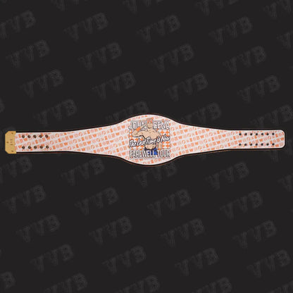 Authentic John Cena WWE Spinner Championship Replica