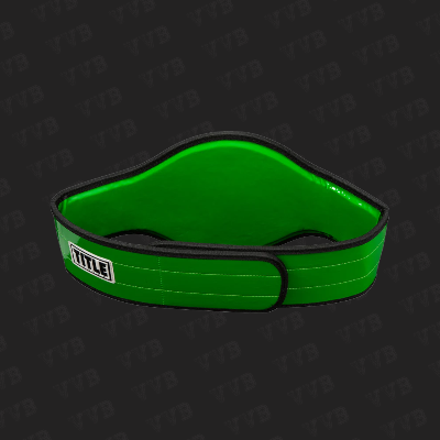 TITLE Boxing World Champion Belt with Gold Plate and Green Strap Featuring International Flags