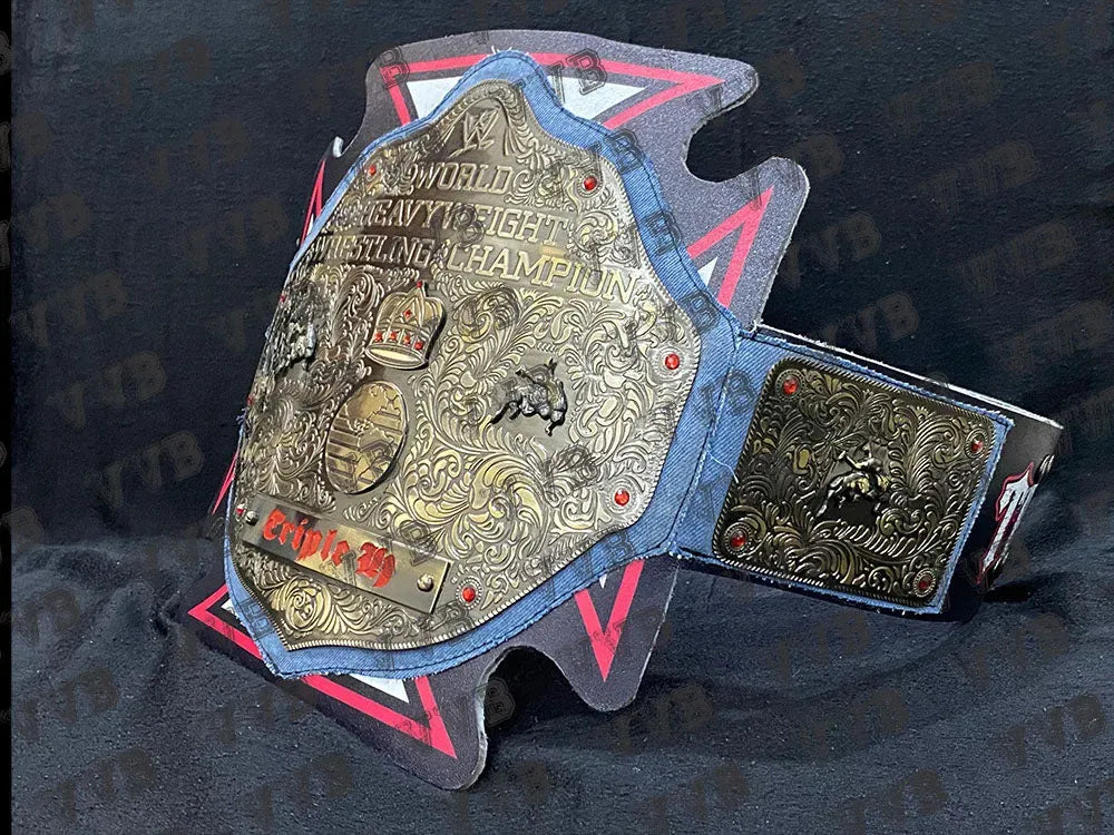 Collector's edition WWE championship belt featuring Evolution design
