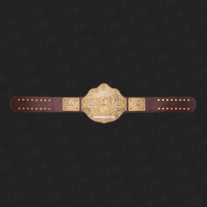 Dual Plate Big Gold Championship Wrestling Title Belt Replica