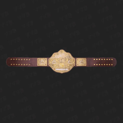 Dual Plate Big Gold Championship Wrestling Title Belt