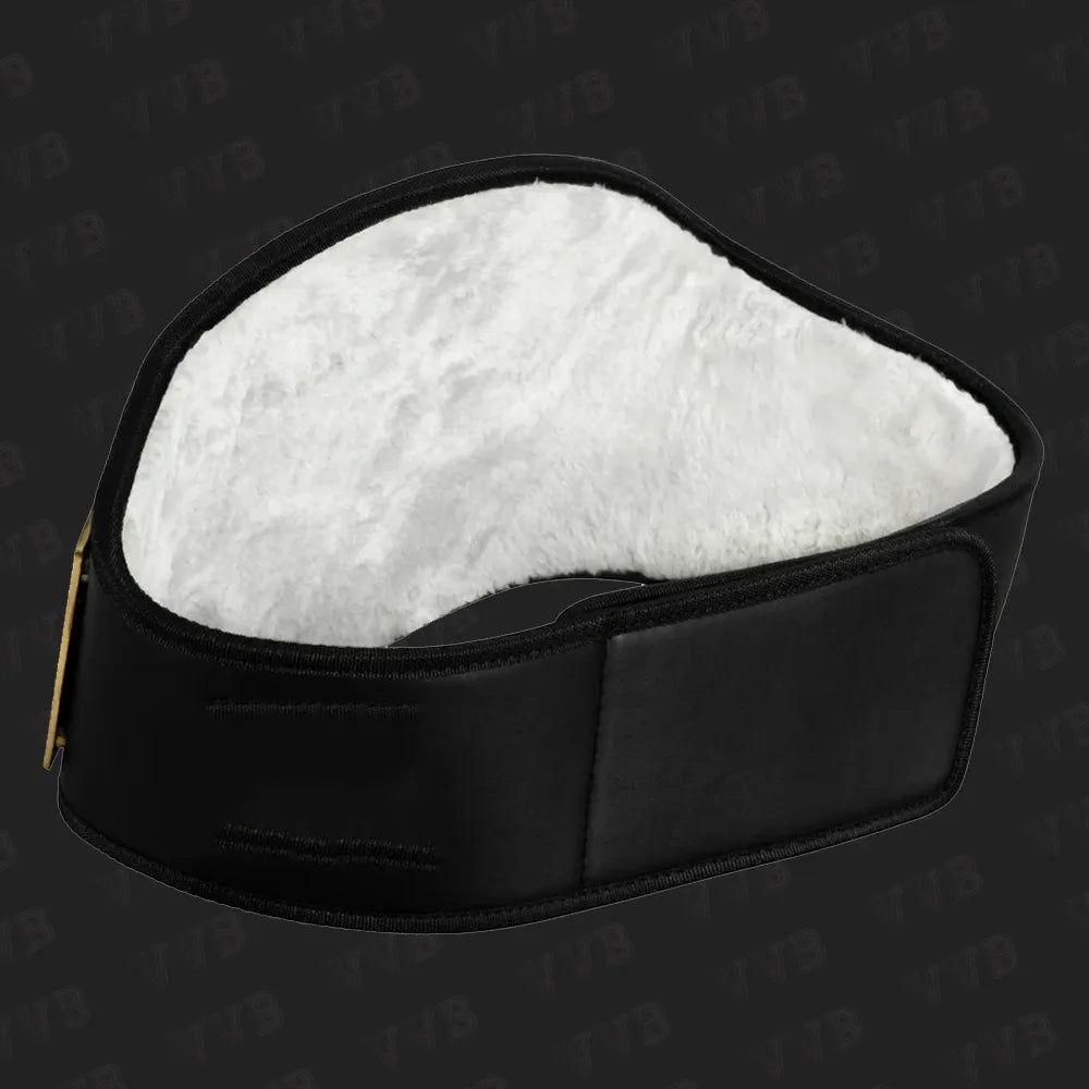 Unique championship belt for boxing collectors
