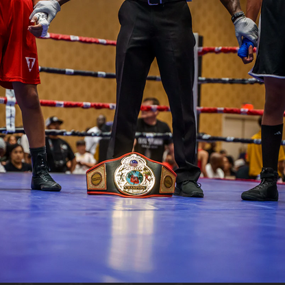 World Championship Title Belt with Gold Plates for Boxing Champions