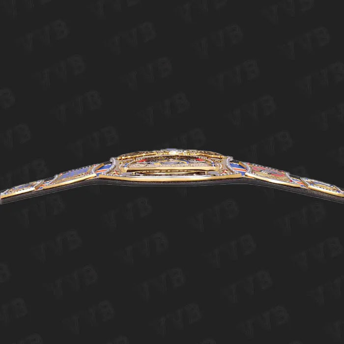 Wrestling Fan Gear - Farewell Spinner Belt for Events
