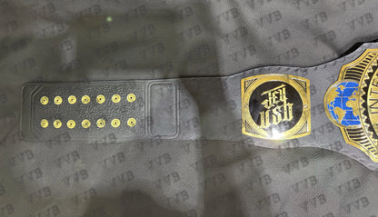 vibrant wrestling titles heavyweight championship replica